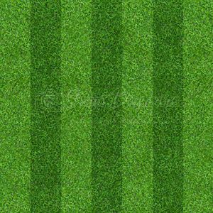 SPORT03 Stadium Grass